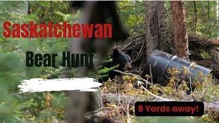 Saskatchewan Spring Black Bear Hunt - Homemade Ground Blind at 8 Yards!