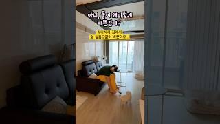 강아지와 아빠가 집에서 엄청 바쁜이유…도대체 왜!