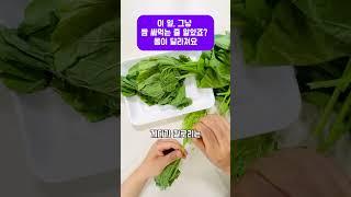 이 잎, 그냥 쌈 싸먹는 줄 알았죠? 몸이 달라져요 #호박잎 #건강채소 #쌈채소