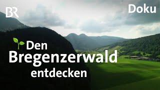 Urlaub und Wandern im unbekannten Bregenzerwald | Cheese-Trail | Architektur | Freizeit | Doku | BR