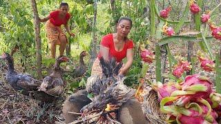 Catch and cook duck, Duck egg grilled in the ground, Cooking crabs spicy with sweet Vegetable