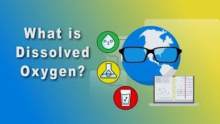 What is Dissolved Oxygen?