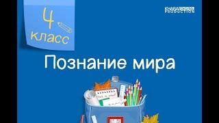 Познание мира. 4 класс. Риски и опасности в искусственной среде /20.01.2021/