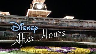 After Hours Party at Magic Kingdom - Walt Disney World