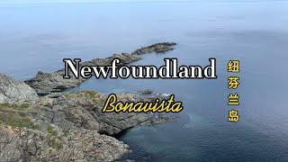 Newfoundland Bonavista 纽芬兰岛渔村