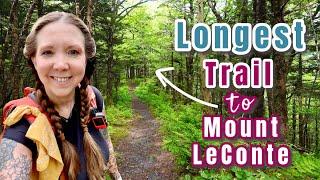 Hiking Longest Trail to Mt. LeConte - Boulevard Trail (Great Smoky Mountains)