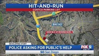 Police Search For Hit-And-Run Driver