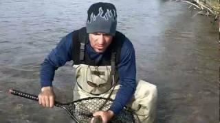 Max Muscle FLYFISHING Alaska trout