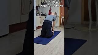 노년 취미요가 ( 266 ) #yoga for seniors #shorts