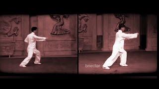 Chen Style Taiji & Yang Style Taiji (Tai Chi) Side by Side