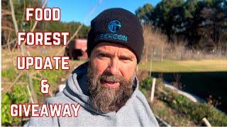 Food Forest Update & A Giveaway