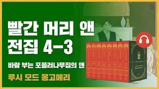  빨간 머리 앤 전집 4권 3탄[마지막]｜바람 부는 포플러나무집의 앤｜앤의 22살 부터 25살까지｜루시 모드 몽고메리
