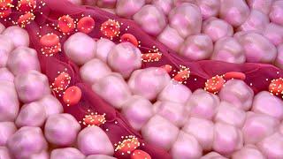 A1C Test for Measuring Blood Sugar Levels