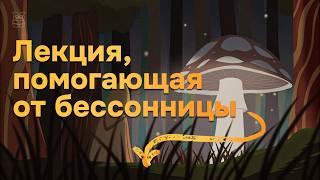 Лекция на ночь | Тихие Завоеватели: Как Грибы Правят Миром | Спокойный сон без тревоги
