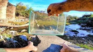 RECORRIDA por RÍO LLENO DE PECES y ARMO TERRARIO. acuario urbano, pesca urbana.