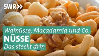 Gesund, lecker und vielseitig: Welche Nuss kann was? | Marktcheck SWR