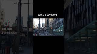 #여행브이로그 #시드니브이로그 #유튜브 #진고리즘 @JINDobaegi