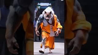modi bana sher batao kaisa lala mere majak #shortvideo #viralvideo