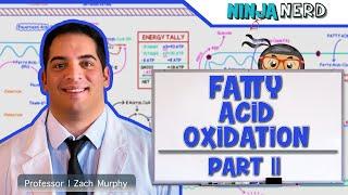 Metabolism | Fatty Acid Oxidation: Part 2