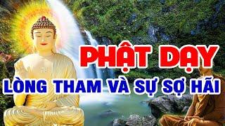  Phật Dạy Về Lòng Tham Lam Vô Đáy Và Sự Sợ Hãi, Sự ích Kỷ Tiền Bạc Của Con Người - Phật Pháp Online