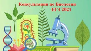 ЕГЭ по биологии 2021. Консультация 8 состоится 15.06.2021 в 6.00 по Московскому времени