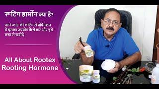 Rooting Hormone for Plants I Rooting Hormone Use I रूटिंग हार्मोन क्या है? कैसे उपयोग करें |