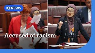 'Vindictive, mean and nasty': Fatima Payman accuses Pauline Hanson of racism | ABC NEWS