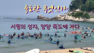 서핑아놔_서핑의 성지, 양양 죽도에 가다 (다소 충격) 죽도란 무엇인가