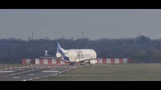 Beluga XL6 departing Chester Hawarden Airport to Hamburg #Beluga #hawarden #aviation