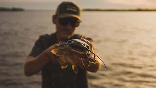 On The Hunt For BIG OTTAWA River CATFISH