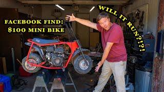 $100 minibike! Will it run?!?!