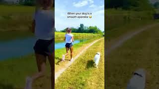 Best running friend ️ #running #sport #dog