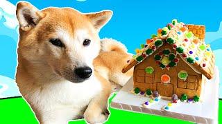 How to Build a Gingerbread House 