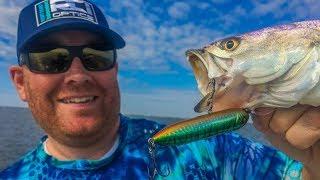 Baby on the way, but still time for topwater trout!