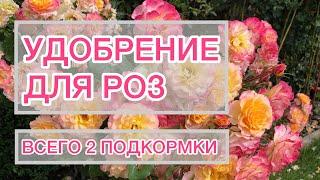 Мои удобрения для роз | две подкормки за сезон | Мой опыт 