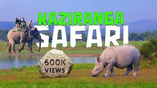 Kaziranga National Park SAFARI Like You've Never Seen Before!  - 4K Video Hindi | हिन्दी