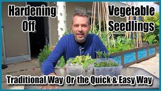 Hardening Off Your Seedlings - Traditional Way and an Easier "Lazy" Way