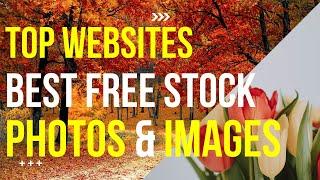 Top Websites For Best Free Stock Photos & Images - 2025