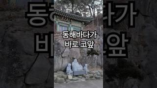 양양 죽도암의 겨울풍경 #사찰여행