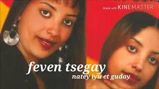 Eritrean music old 2013 .Feven Tsegay -natey iyu et guday(ናተይ ኢዩ እቲ ጉዳይ)