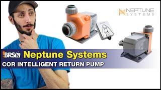 Neptune COR 20 Return Pump: No Apex needed! Our Best Return Pump of 2019.