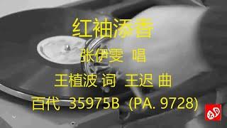 红袖添香  -  张伊雯