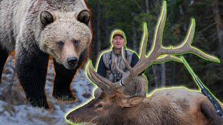 Hunting Elk in Grizzly Bear Country - Guy Eastman Wyoming Elk