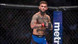 Cody Garbrandt - All Knockouts