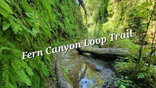 Redwood National Park ~ Fern Canyon Loop Trail  Definitely do this trail