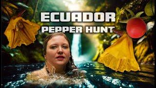 Ecuador's Pepper Kingdom | Unveiling Andean Capsicum 