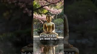 제2장 16 #불교 #불교가르침 #불교신자 #불교교리 #불교경전 #불교공부 #불교크리에이터 #buddhism #Buddhist #buddha #practice #스님