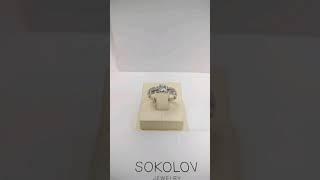 Магазин "ЗОЛОТОЙ ЛЕВ" на Чкаловском.