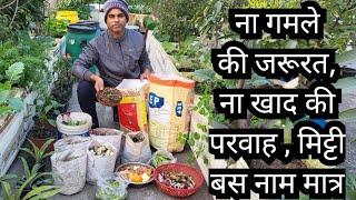 Gardening without Budget || Free Gardening || Use of Kitchen Waste in Gardening