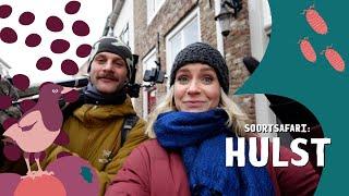 "Deze blaadjes zie ik altijd met kerst!" | SoortSafari